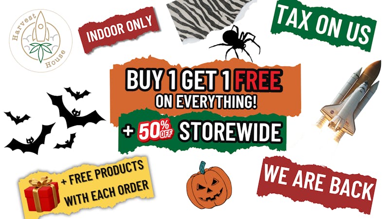 Harvest House - Northridge / Chatsworth / Reseda BUY 1 GET 1 FREE on EVERYTHING + 50% OFF storewide