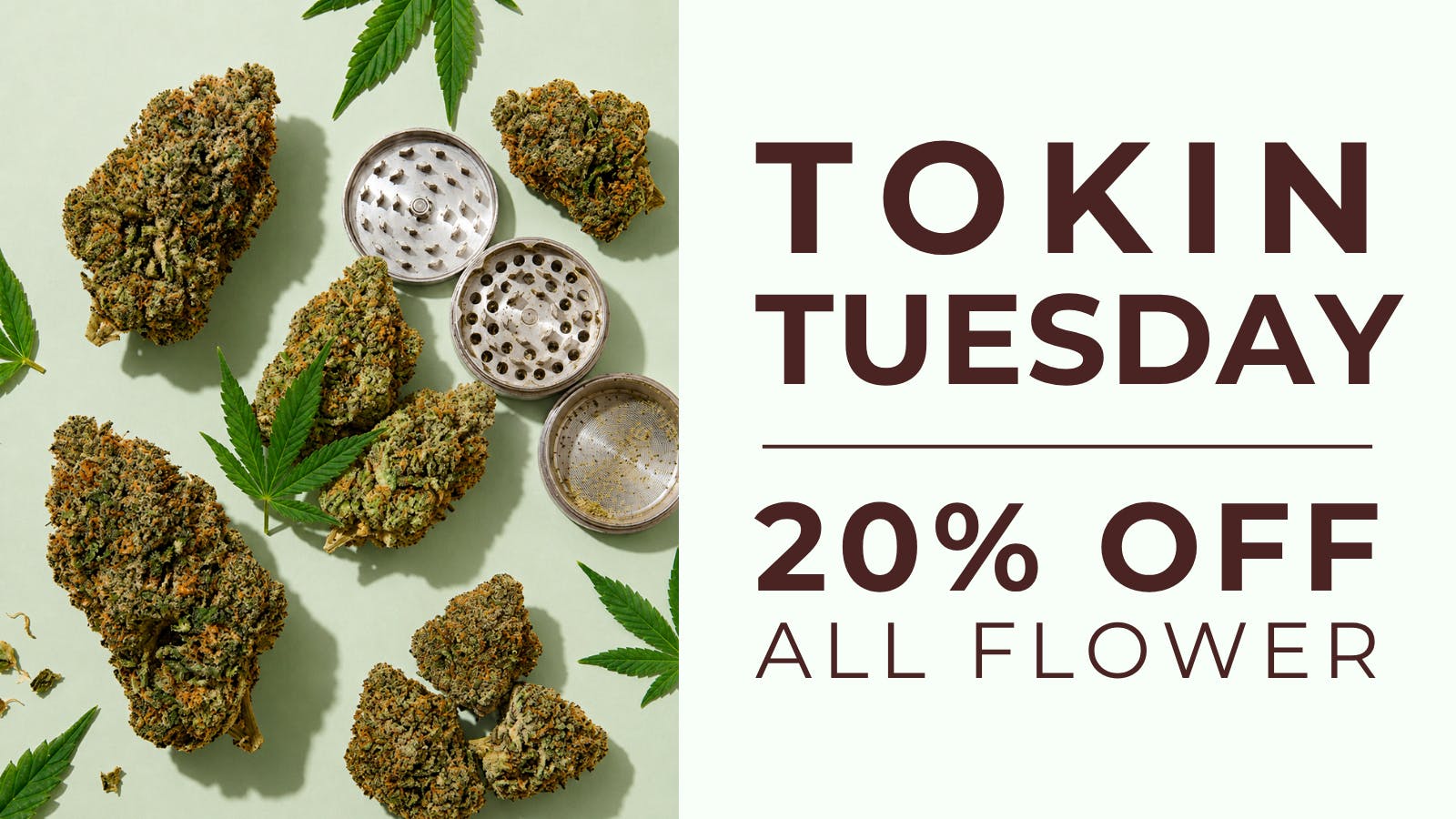 Lighthouse Cannabis Dispensary - Gulfport Tokin Tuesday 💨