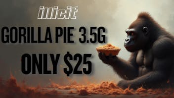 Bridge City Collective Weed Dispensary New Brunswick Gorilla Pie 3.5g Only $25