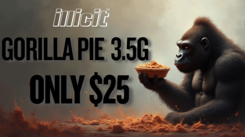 Bridge City Collective Weed Dispensary New Brunswick Gorilla Pie 3.5g Only $25