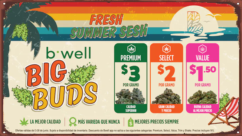 Bwell - Rincón Fresh Summer Sesh 🌞 Flores premium desde $3/g
