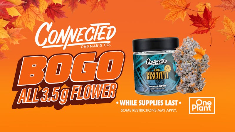 One Plant Santa Cruz BOGO: Connected 3.5g Flower!