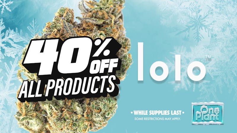 One Plant Santa Cruz 40% OFF Lolo!!!