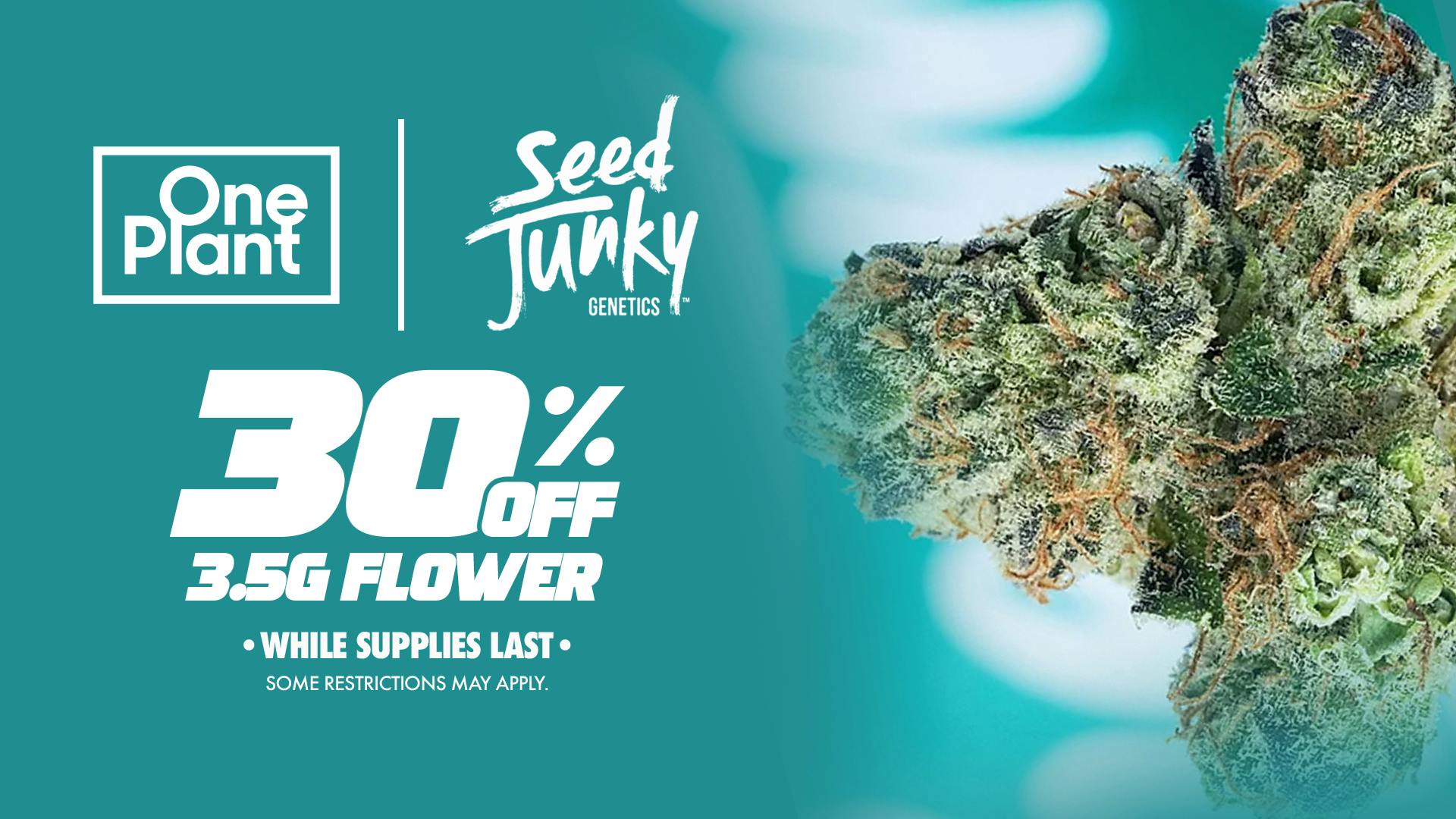One Plant Atwater 30% OFF 'Seed Junky' 3.5g Flower