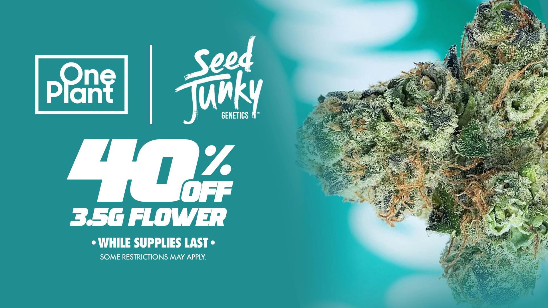 One Plant Santa Cruz 40% Off 'Seed Junky Genetics' 3.5g Flower