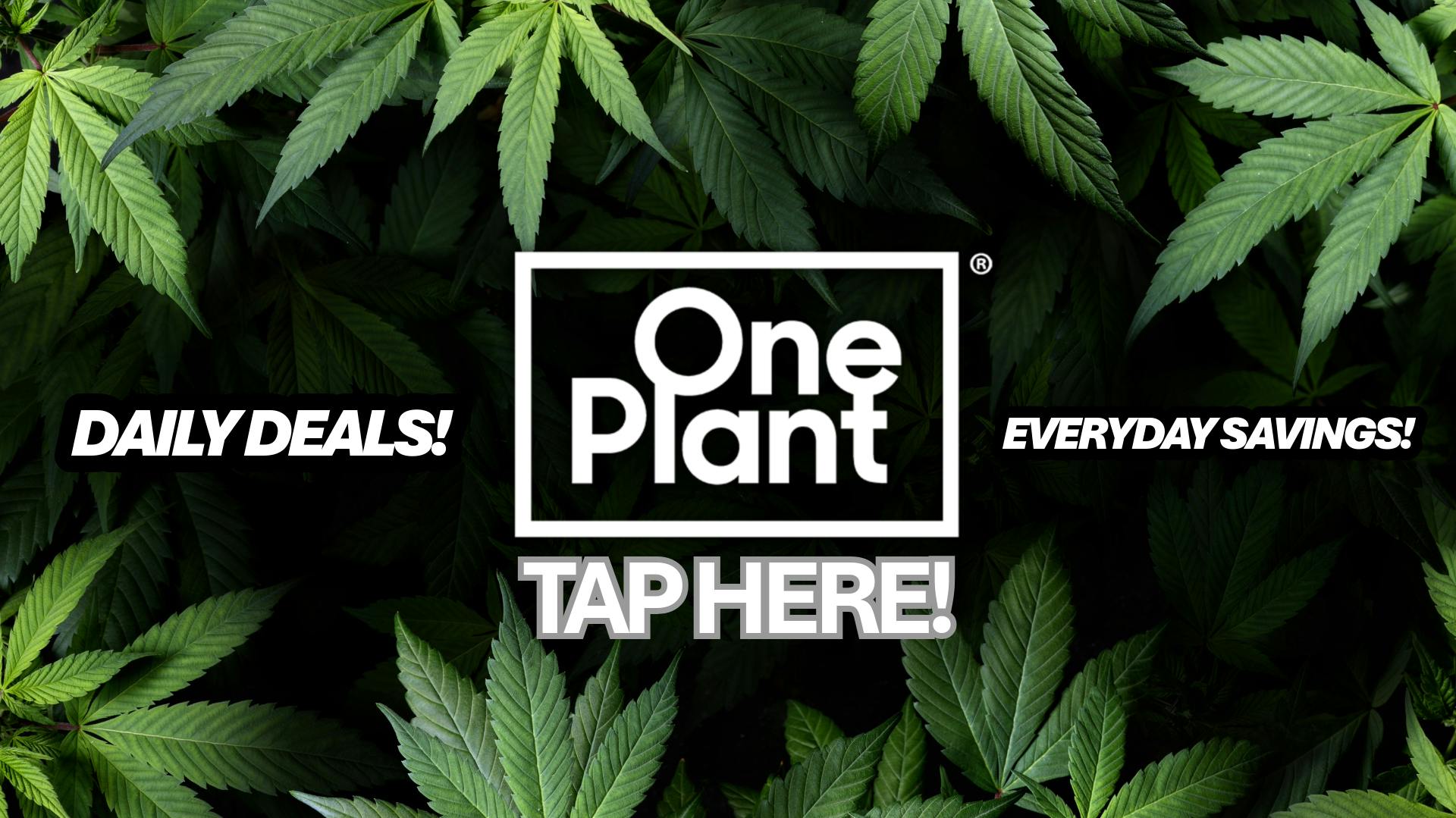 One Plant Salinas Monday Specials!