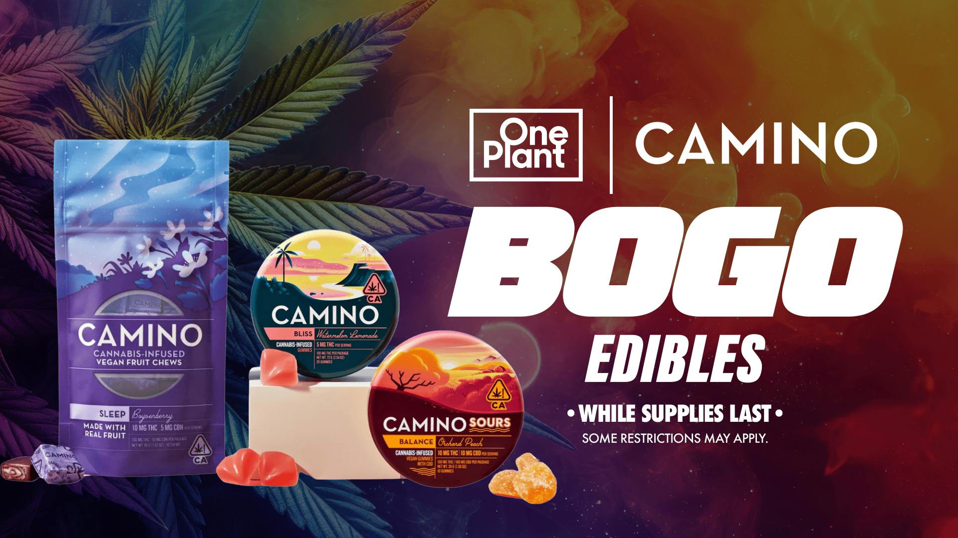 One Plant Salinas Buy 1 Get 1 Camino!