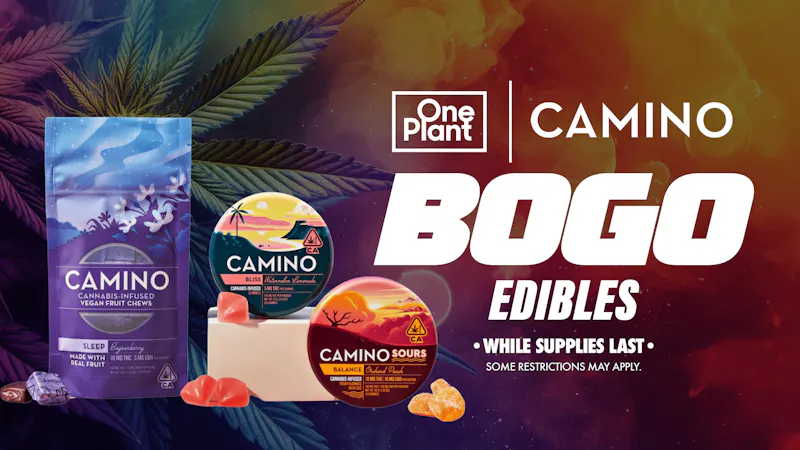 One Plant Salinas Buy 1 Get 1 Camino!