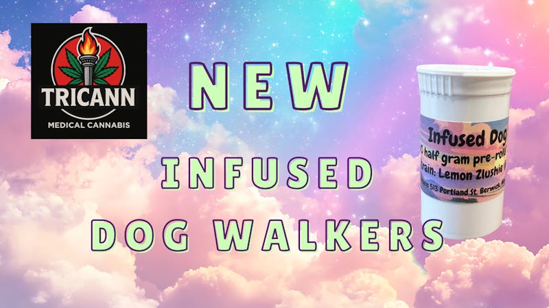 Tricann New Infused Dog Walkers