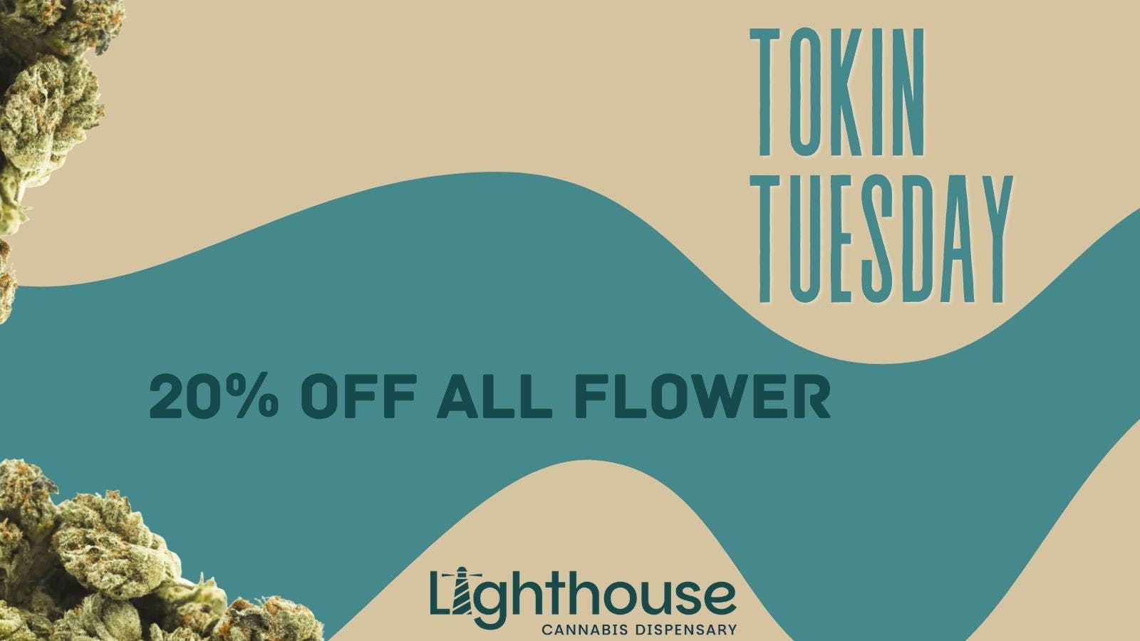 Lighthouse Cannabis Dispensary - Gulfport Tokin Tuesdays 🍃