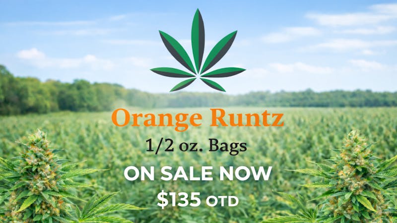 higherplace Orange Runtz 1/2 oz Sale