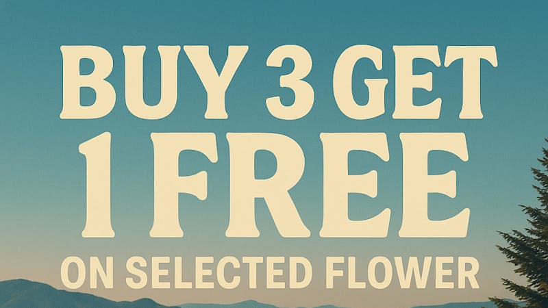 Weedyy - Fremont BUY 3 GET 1 FREE