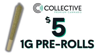 Collective - Littleton $5 1g Pre-Rolls