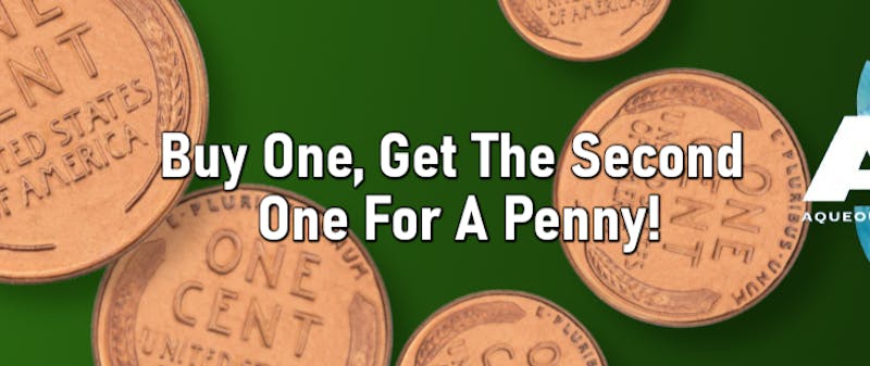 High Rollers Cannabis BOGO $0.01 SELECT 'ACE' CARTS