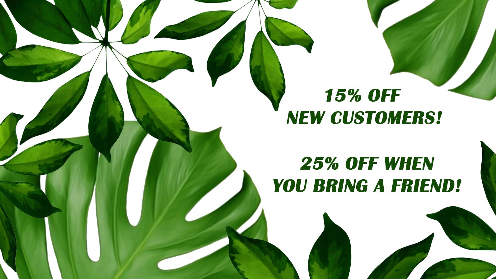 Green Comfort NEW CUSTOMER DISCOUNT!