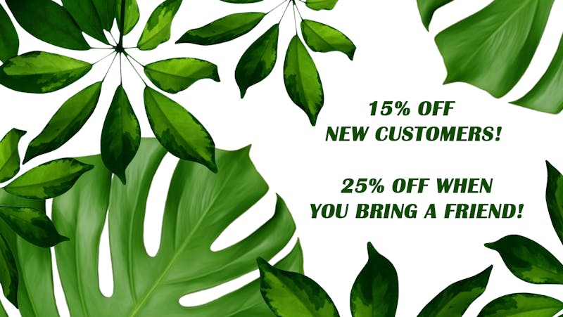 Green Comfort NEW CUSTOMER DISCOUNT!
