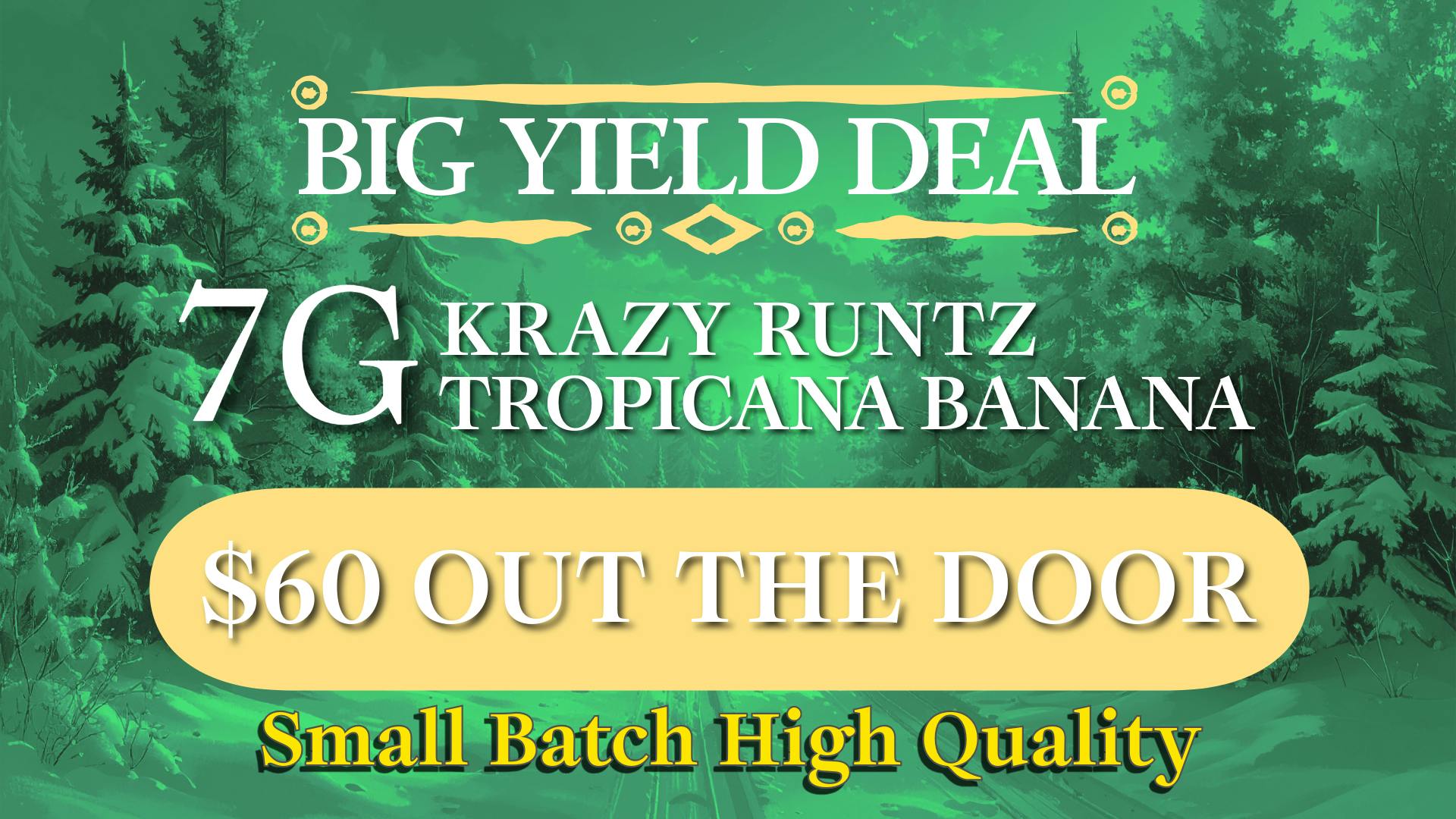 6 Point Flower Shop MICRO BUSINESS BIG YIELD DEAL