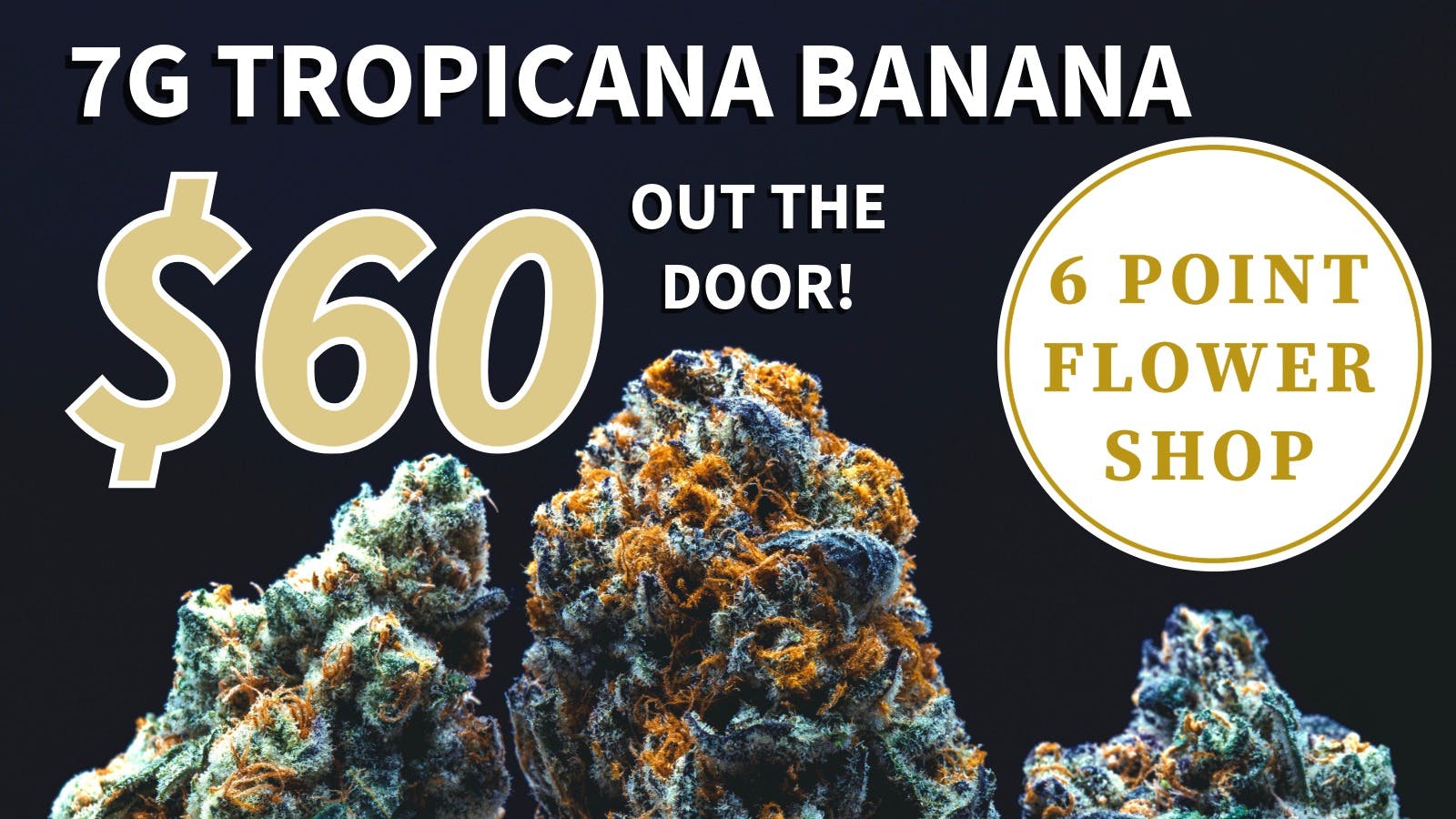 6 Point Flower Shop ALL DAY 420 High Quality DEAL