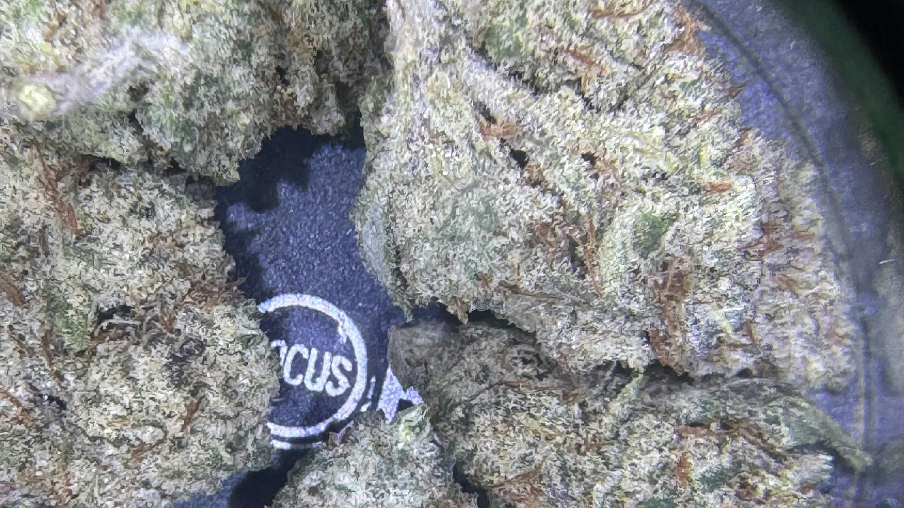 NRG LYFT DISPENSARY The "Stinky Panties" Bundle: 15% Off