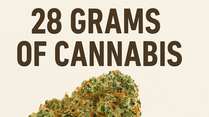 Canna Bar Dispensary OZ Sale, Save 25%