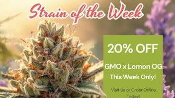 Silly Bear Cannabis Strain Of The Week