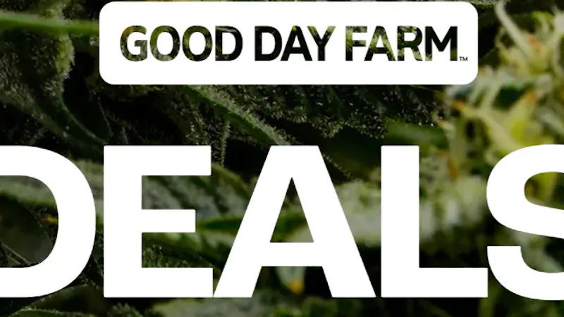 From The Earth Dispensary Independence 15% Off Listed Brands (7/31 - 8/2/26)