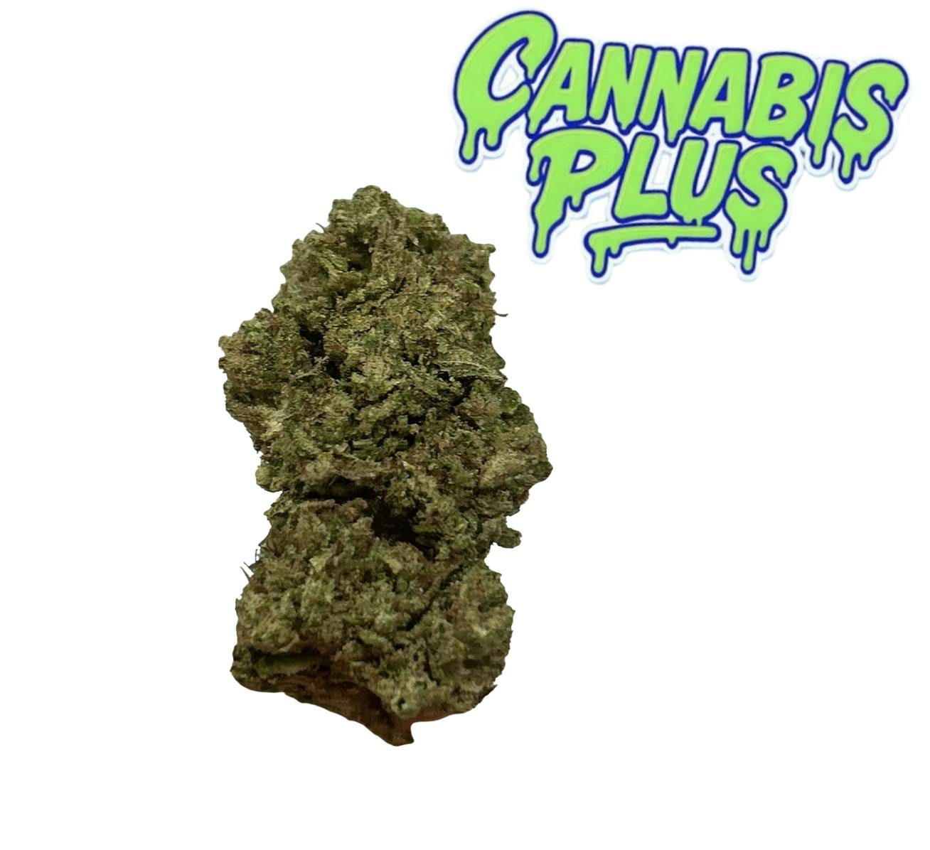 Mid Flower | M2 | Class C | Sativa