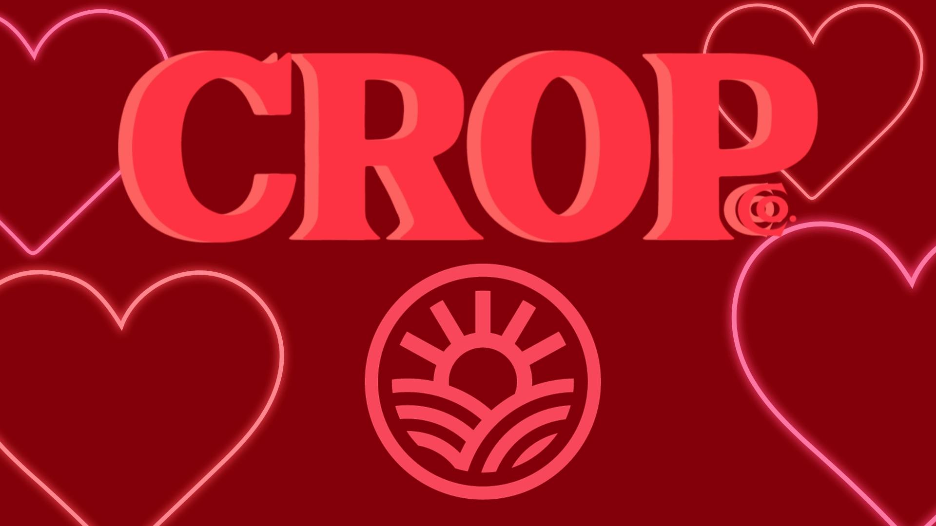 Crop WE'RE HIGH ON LOVE