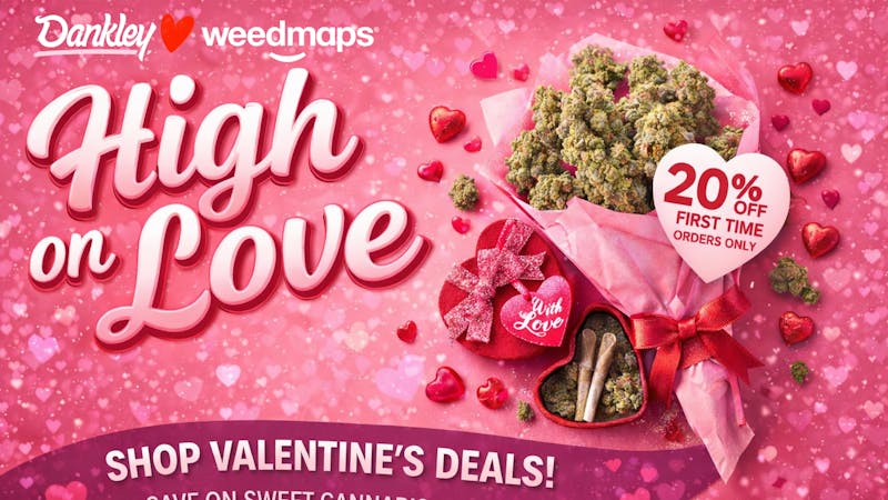 DANKLEY ValenHigh Special