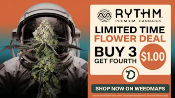 DANKLEY RYTHM BUY 3 GET ONE