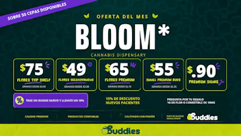 BLOOM Vega Alta OFERTA DEL MES BLOOM VEGA ALTA