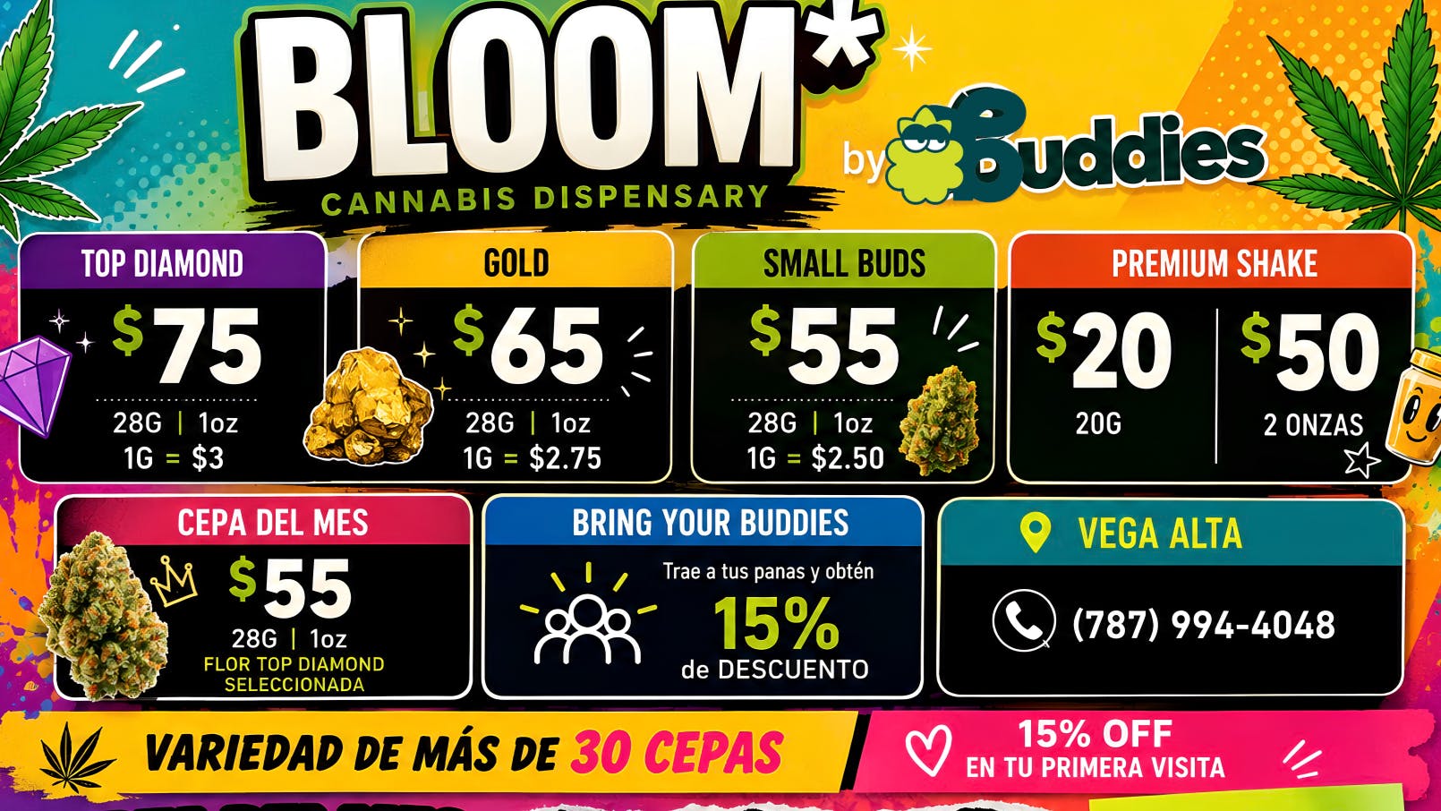 BLOOM Vega Alta ¡PRECIOS REGULARES QUE PARECEN OFERTAS!