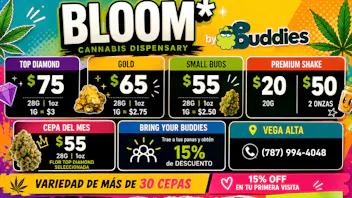 BLOOM Vega Alta ¡PRECIOS REGULARES QUE PARECEN OFERTAS!
