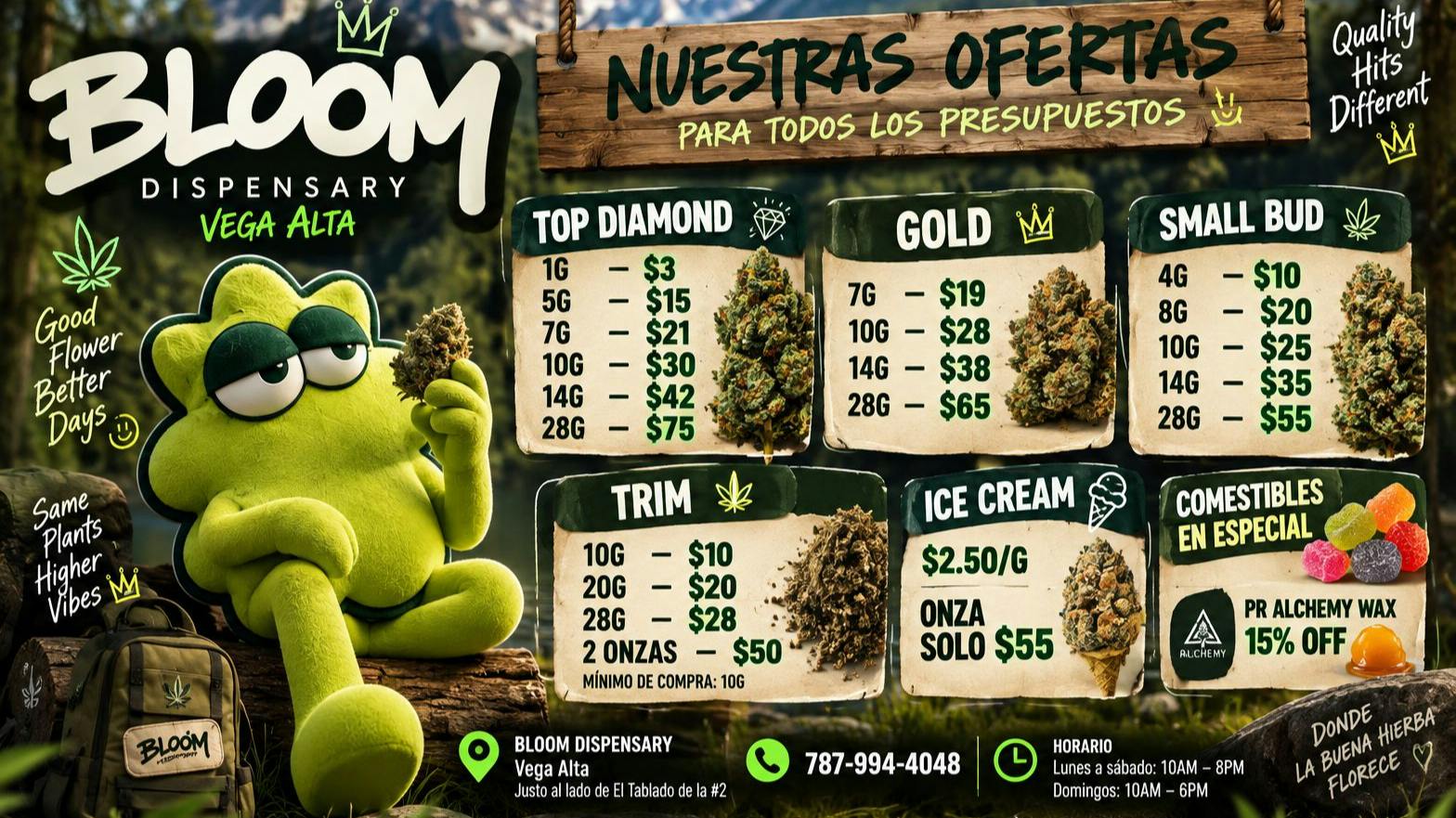 BLOOM Vega Alta ¡PRECIOS REGULARES QUE PARECEN OFERTAS!