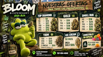 BLOOM Vega Alta ¡PRECIOS REGULARES QUE PARECEN OFERTAS!