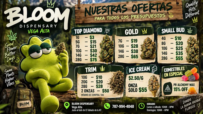 BLOOM Vega Alta ¡PRECIOS REGULARES QUE PARECEN OFERTAS!