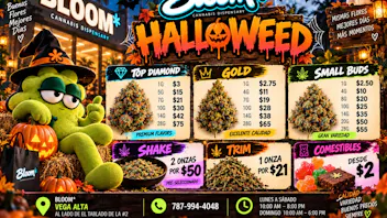 BLOOM Vega Alta 🎃👻 ¡HALLOWEED LLEGÓ A BLOOM! 👻🎃