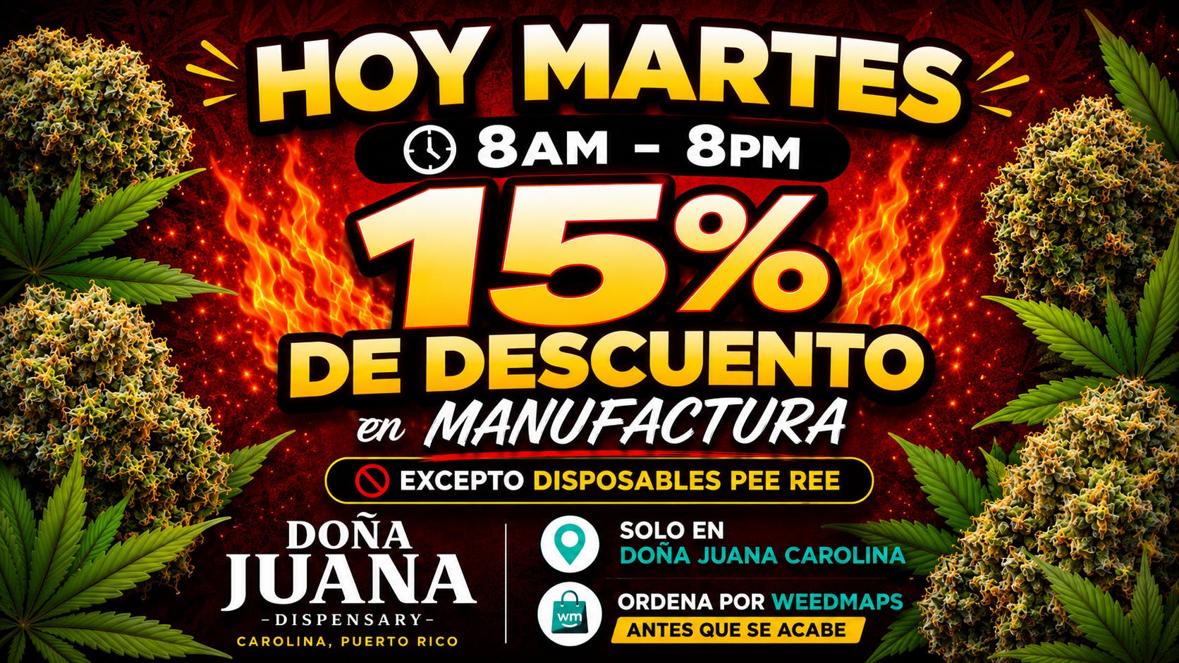 Doña Juana - Carolina 💨 15% DE DESCUENTO en toda la MANUFACTURA