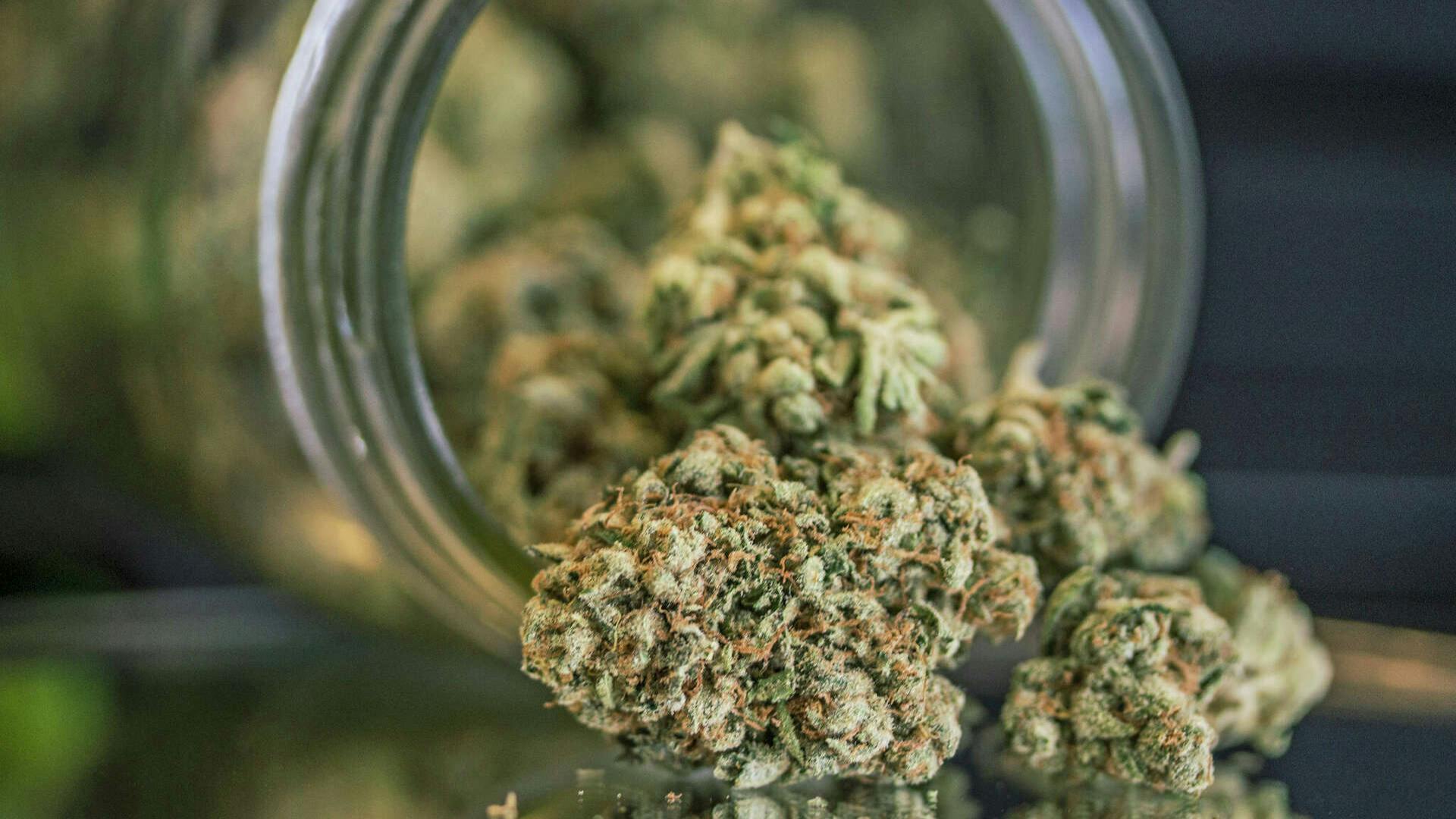 Medz DC: Weed Dispensary & Weed Delivery Buy any one 3.5g flower get a second 3.5g free!