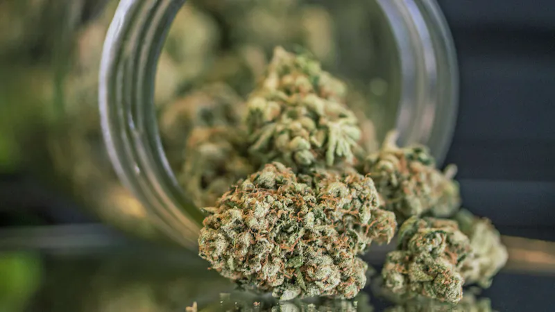 Medz DC: Weed Dispensary & Weed Delivery Buy any one 3.5g flower get a second 3.5g free!