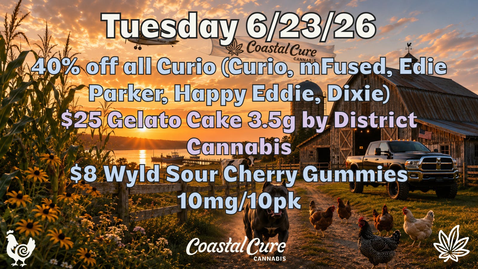 Coastal Cure Cannabis 40% OFF CURIO 6/23
