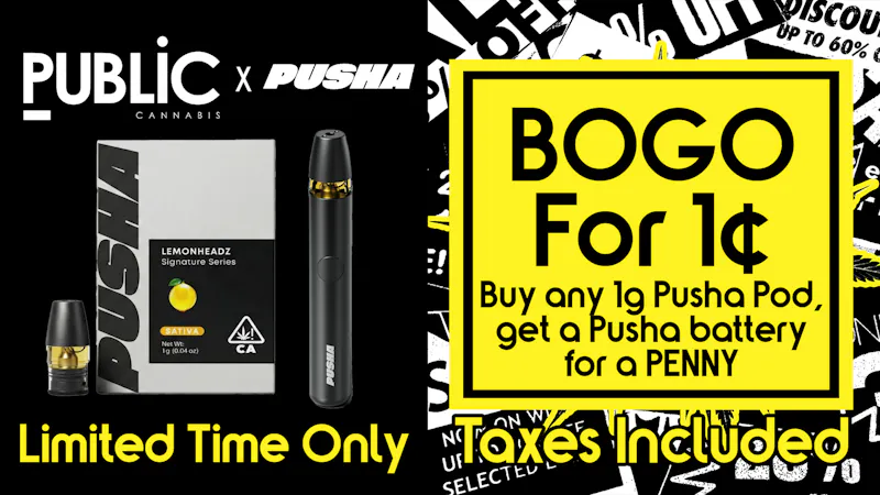 Public Dispensary BOGO for a Penny! PUSHA Pod $32 Tax Included 💨