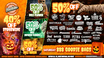 BOWDEGA - NEW BUFFALO GOODIE BAGS 888, 40% OFF New Buffalo US 12 Highway