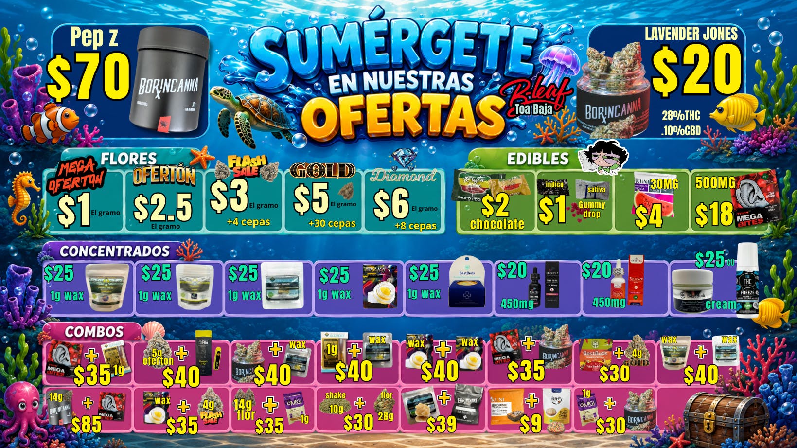 Seed Cannabis Collection sumergete en las ofertas