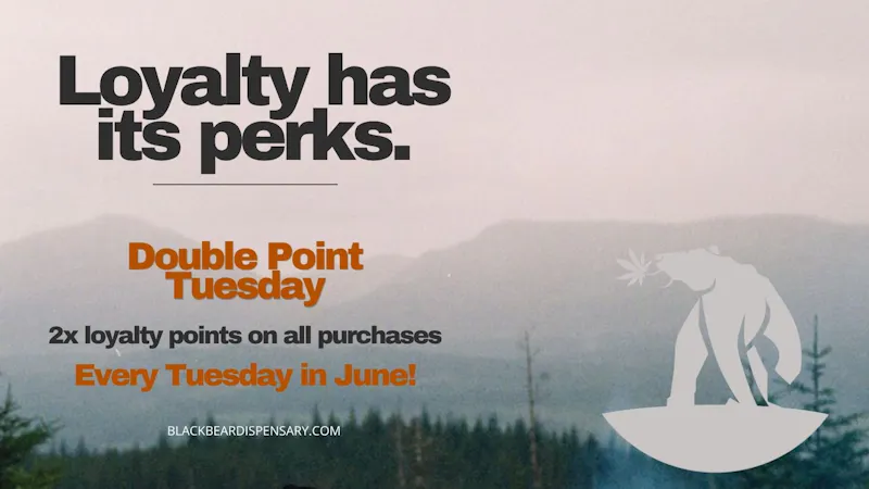 Black Bear Weed Dispensary Winona Double Point Tuesday