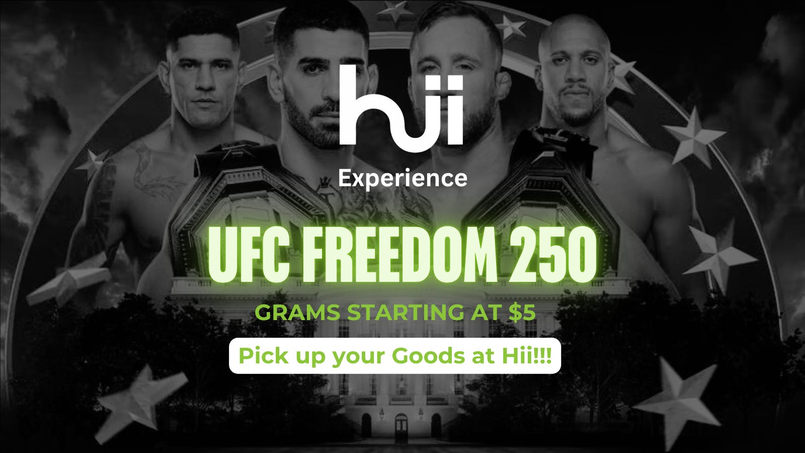 Hii Experience UFC FREEDOM 250