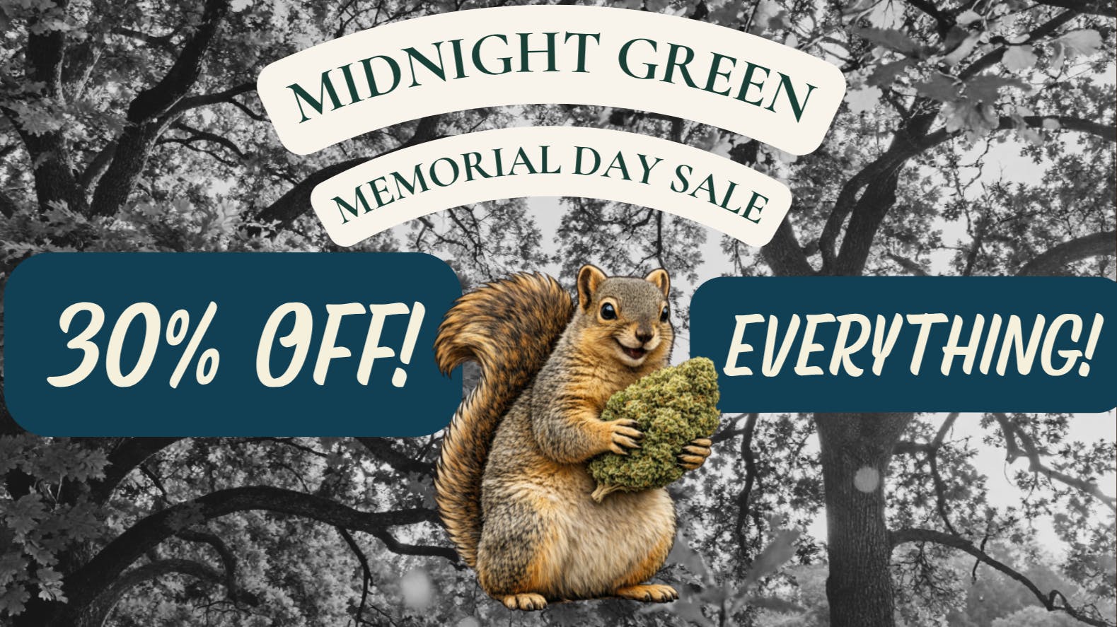 Midnight Green 30% Off Entire Store Memorial Day Weekend