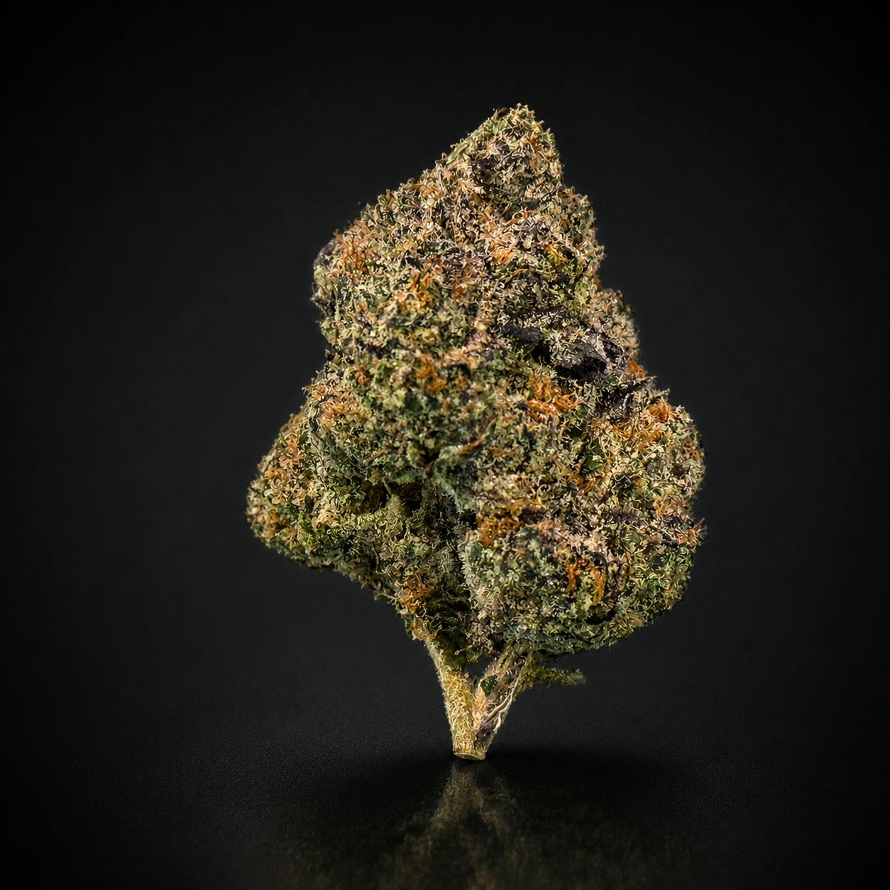Jungle Boys - Granddaddy Purple (I) - 36.82%