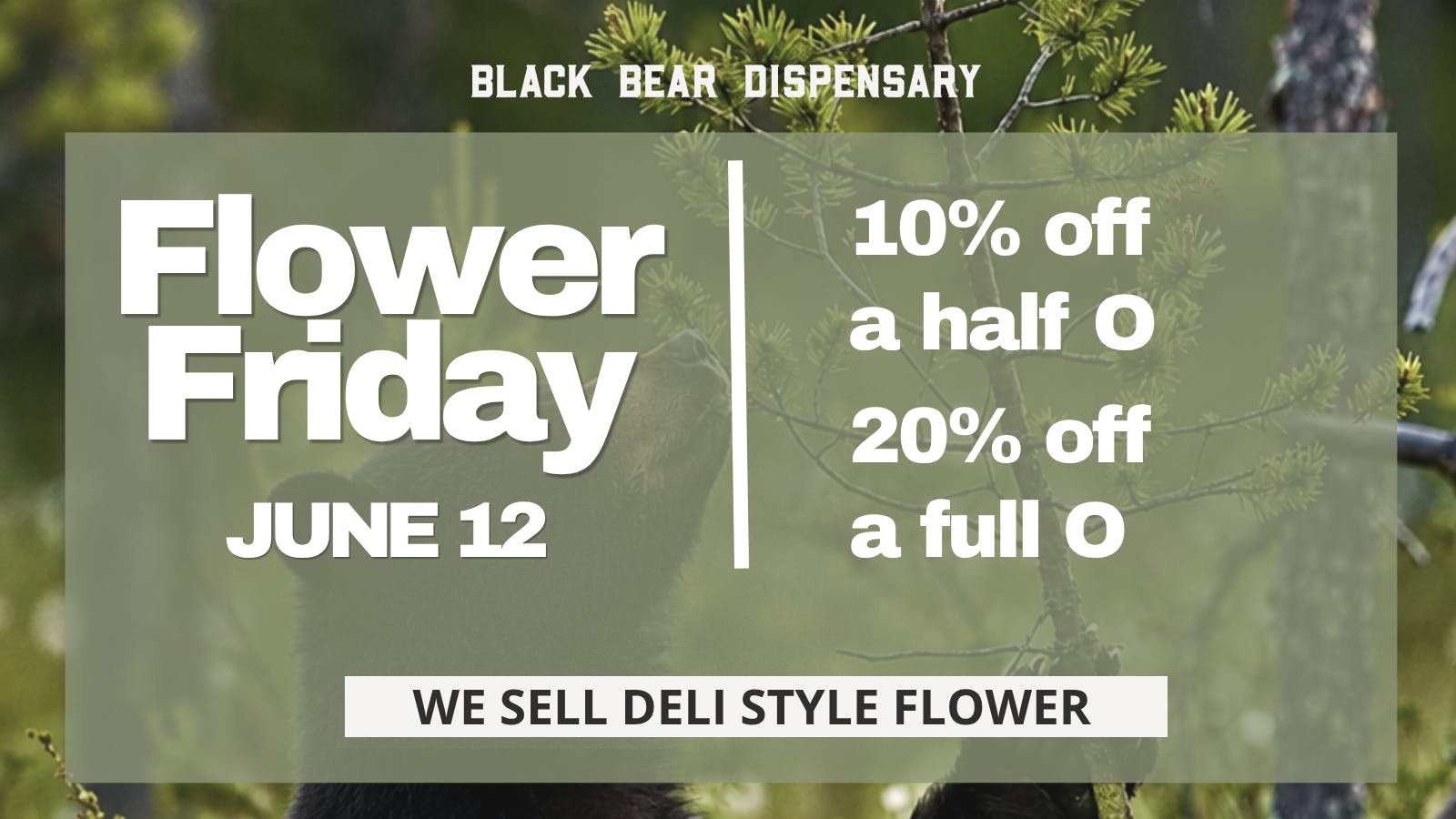 Black Bear Weed Dispensary Winona Flower Friday June 12