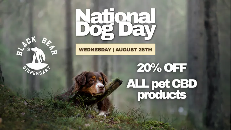 Black Bear Weed Dispensary Winona National Dog Day